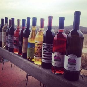 Route Du Vin Wines
